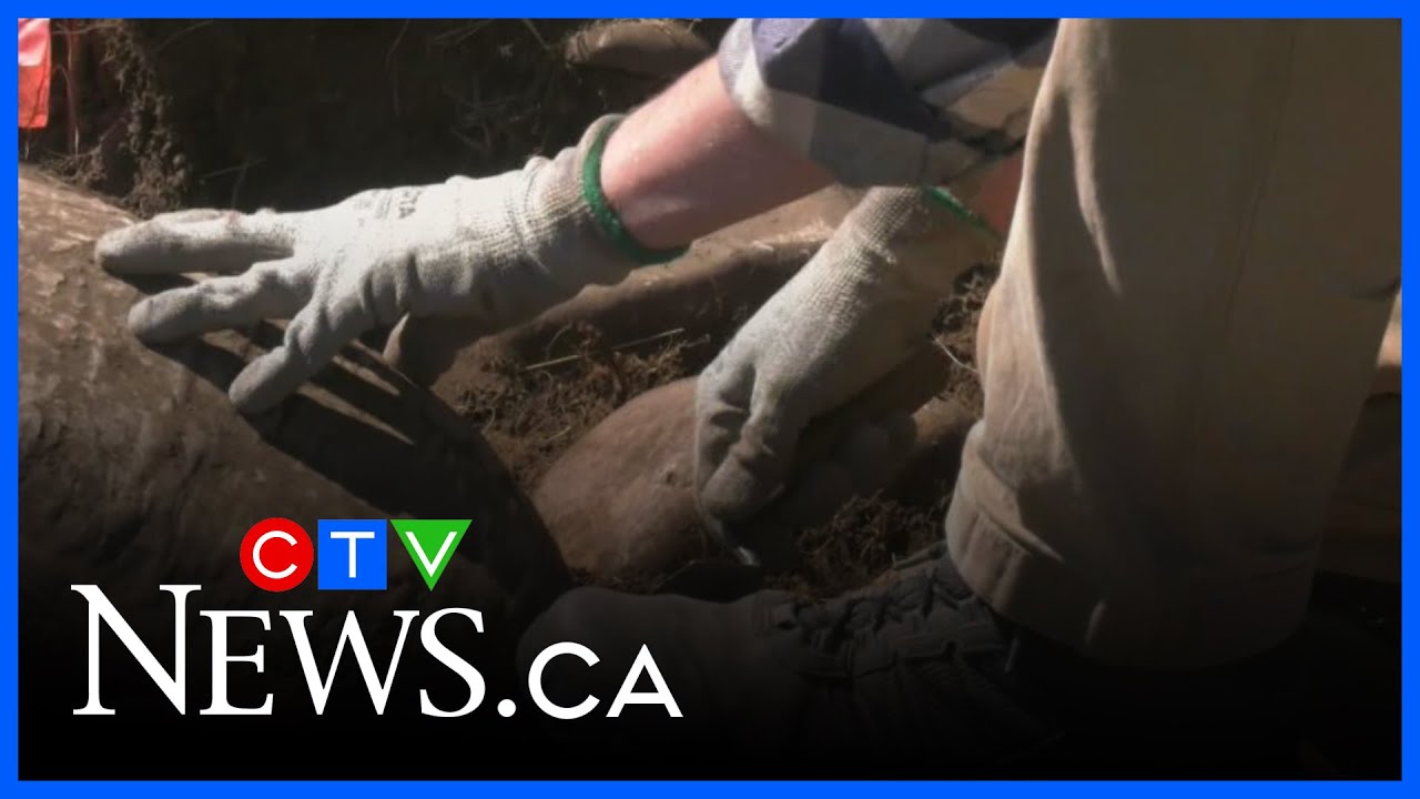 University students uncovering Calgary history