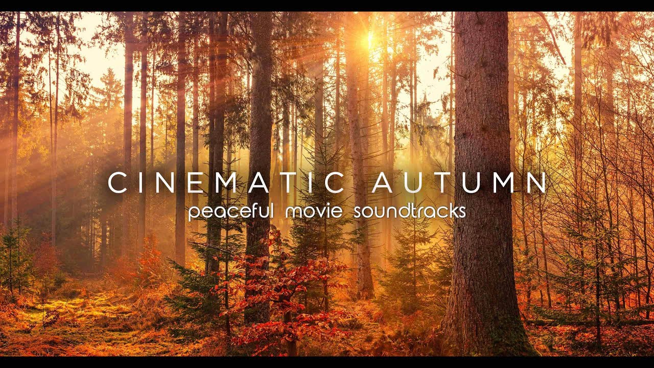 Enchanting Fall Foliage: Tranquil Film Scores & Instrumental Melodies 🍁