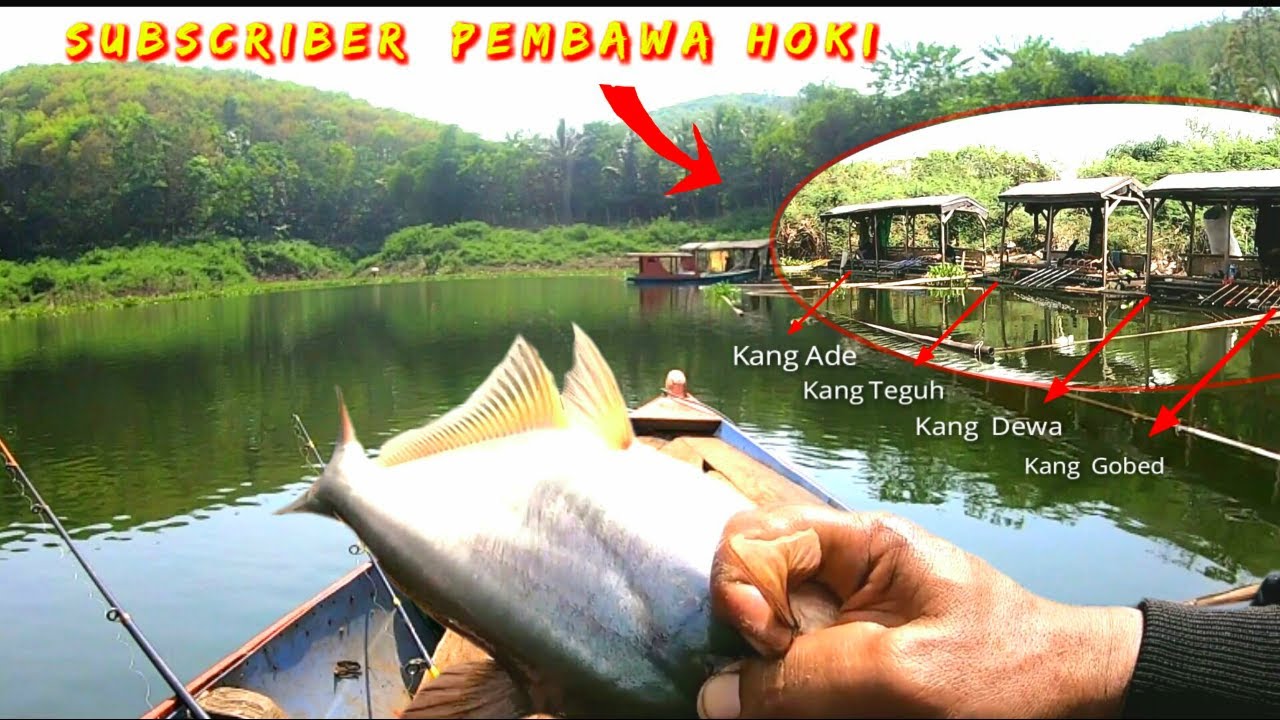 STRIKE BABON SETELAH KETEMU SOBAT NGABLU || Mancing Patin Liar Cirata