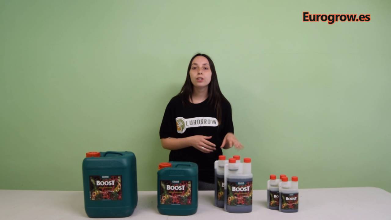 Cannaboost Acelerator de Canna Fertilizante Floraci&oacute;n Marihuana - Eurogrow.es