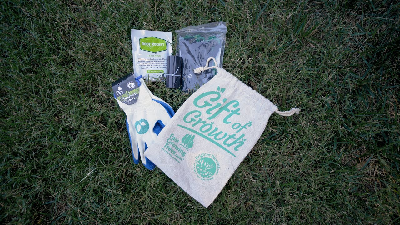 Tree Planting Kit from Fast Growing Trees