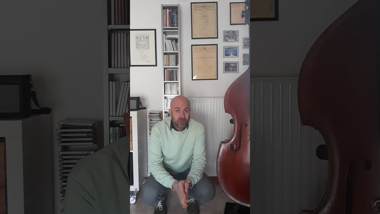 Orchestra Mozart Virtual Festival | Daniele Carnio
