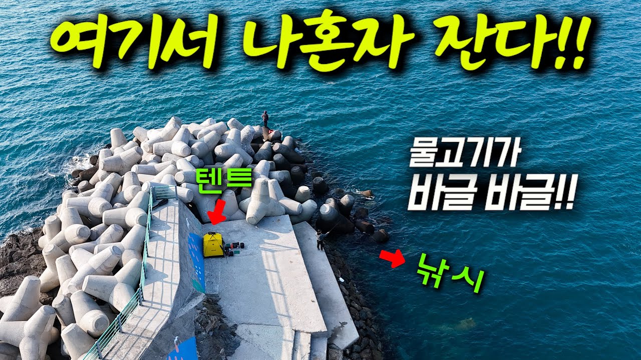 낚시가 쉴 틈이 없는 방파제, 나 홀로 작은 캠핑으로 보낸 하룻밤!! (경남 남해군, 박선비tv / 생선 구이)