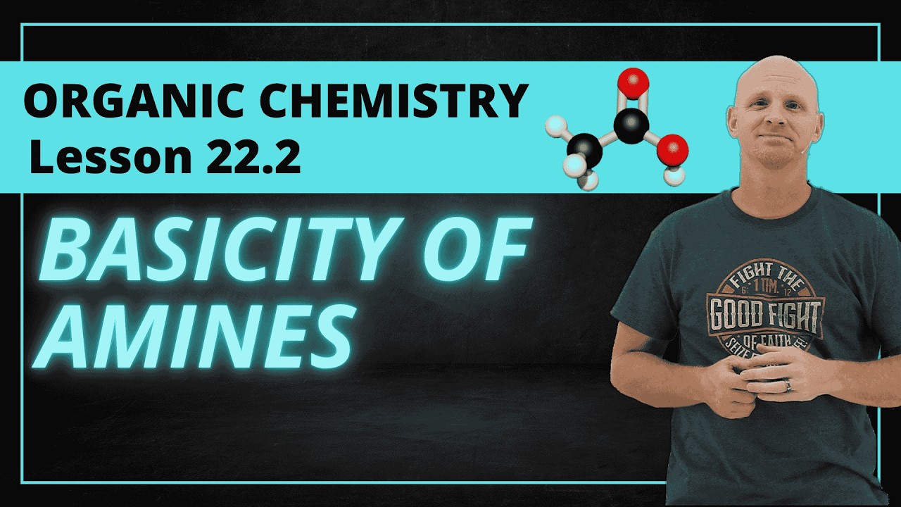 22.2 Basicity of Amines | Organic Chemistry