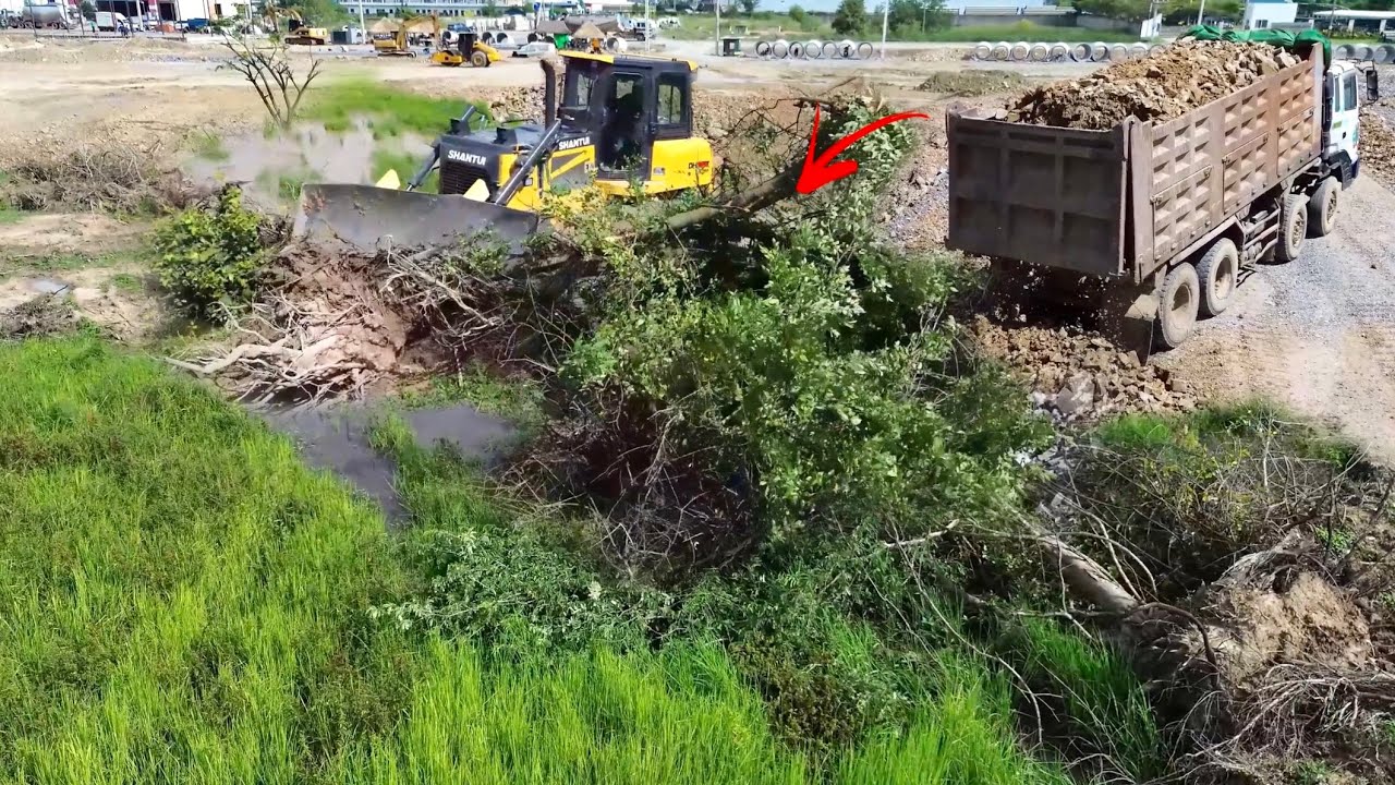 Operator SHANTUI DH17c3 Bulldozer Clearing Land & Moving Rock Reclaims Flooded Field Smoothly!