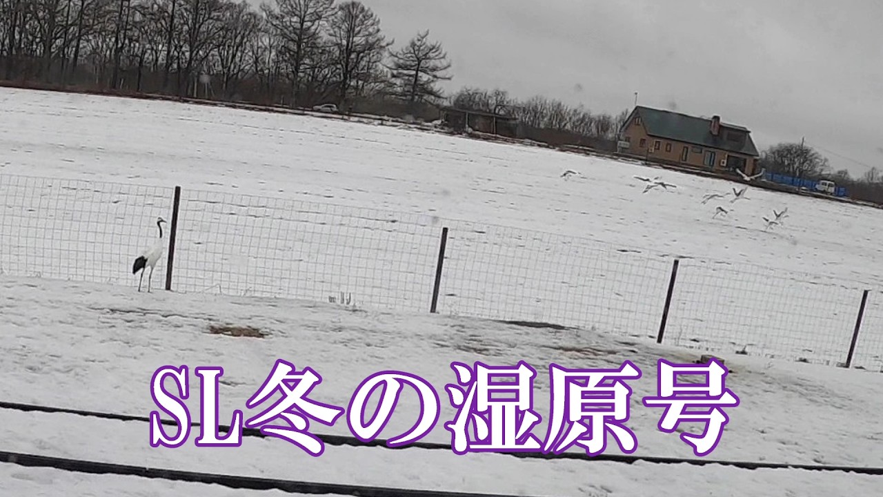 SL冬の湿原号VOL３