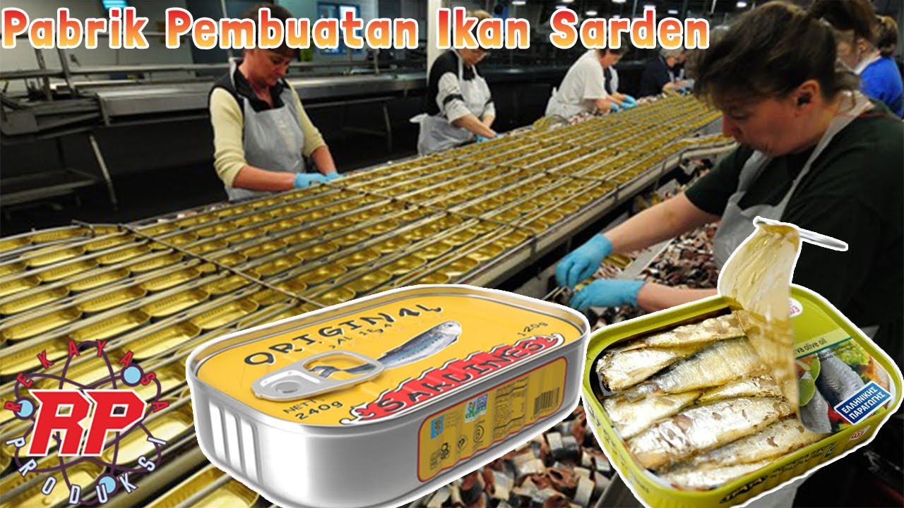 PROSES PENGOLAHAN PRODUKSI IKAN SARDEN MENJADI IKAN KALENG DENGAN TEKNOLOGI MODERN DAN CANGGIH