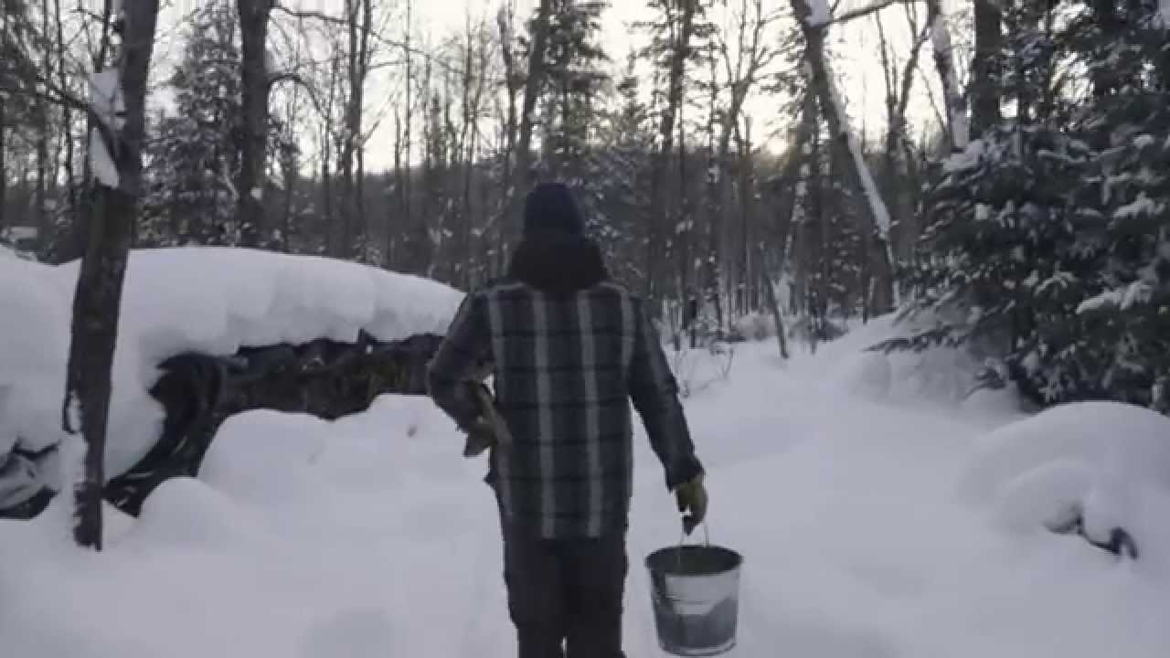 Winter at the Algonquin Log Cabin