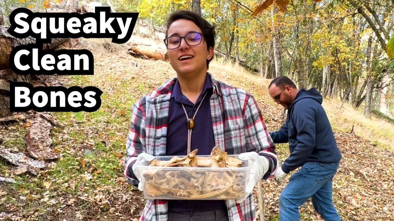 300 - How do you make road kill bones squeaky clean for your bone collection?