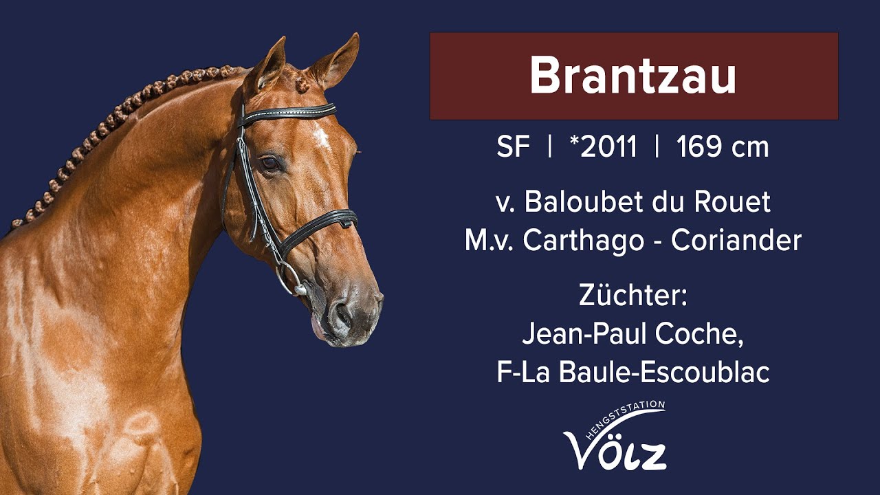 Brantzau (Baloubet du Rouet/Carthago/Coriander)