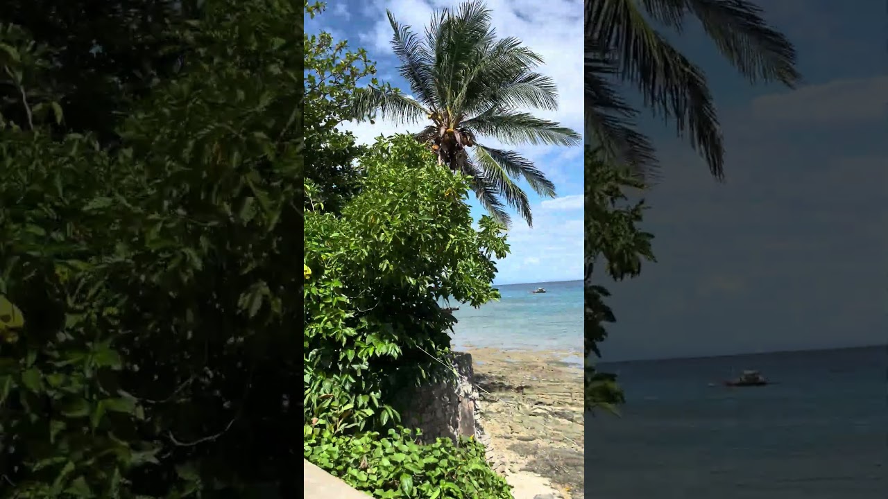 Motorbike Ride Along the Ocean
