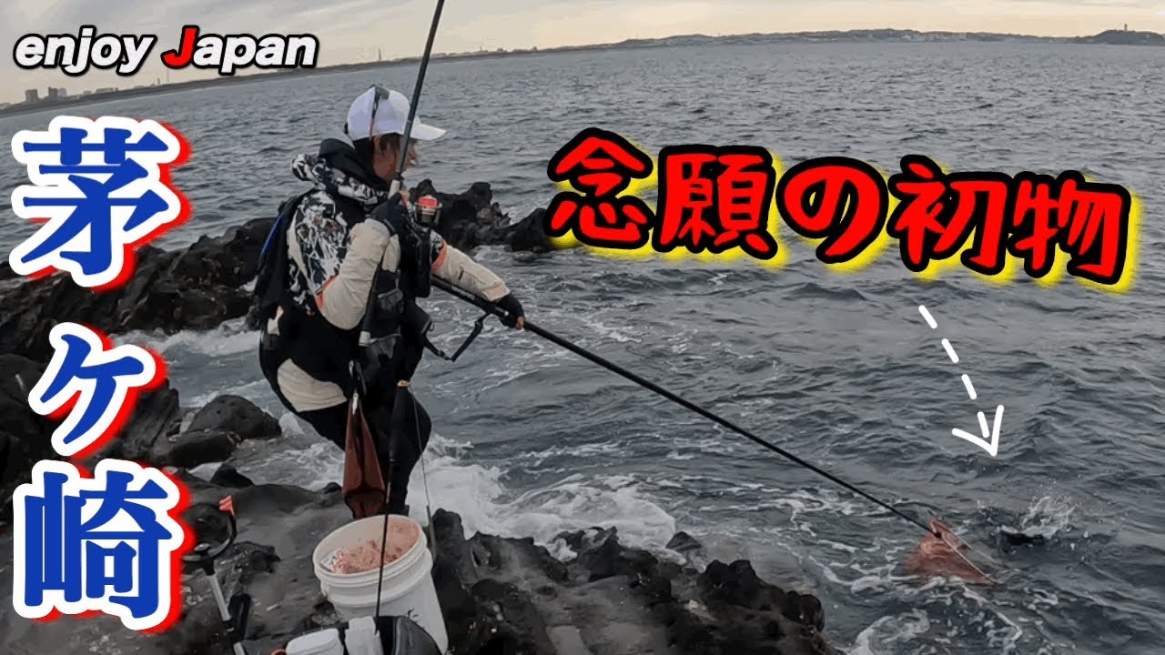 【茅ヶ崎 #1 平磯】海抜30cmの過酷な磯で念願の湘南メジナを狙ってフカセ釣りしてみたら…！