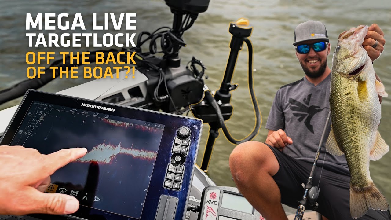 MEGA Live TargetLock + MEGA 360 (Back of Boat View)