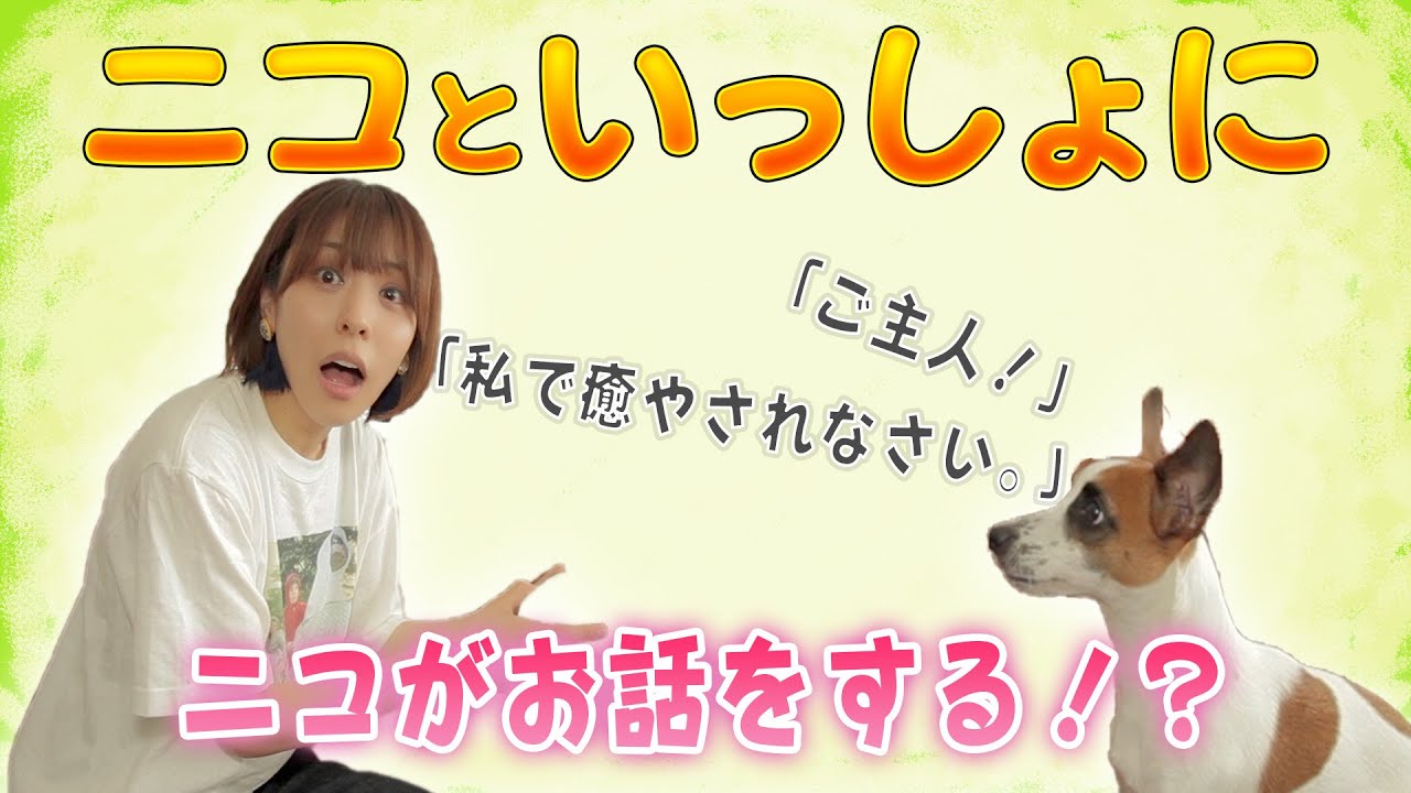 【ニコといっしょに】注目はあらぶる姿！？愛犬といっしょに遊びます！【豊崎愛生】