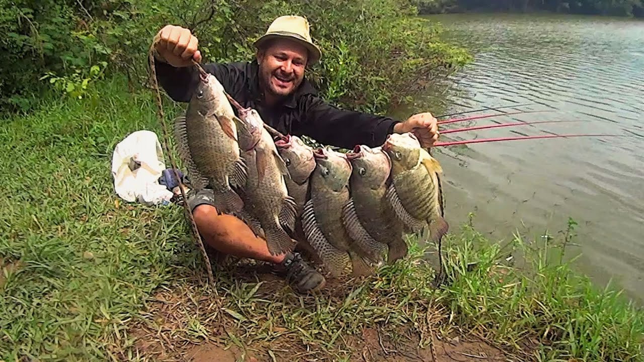 TILÁPIAS PRÉ-HISTORICAS ,MONSTRO ABRIU ANZOL,QUEBRA VARA ,ESSA ISCA NÃO FALHA