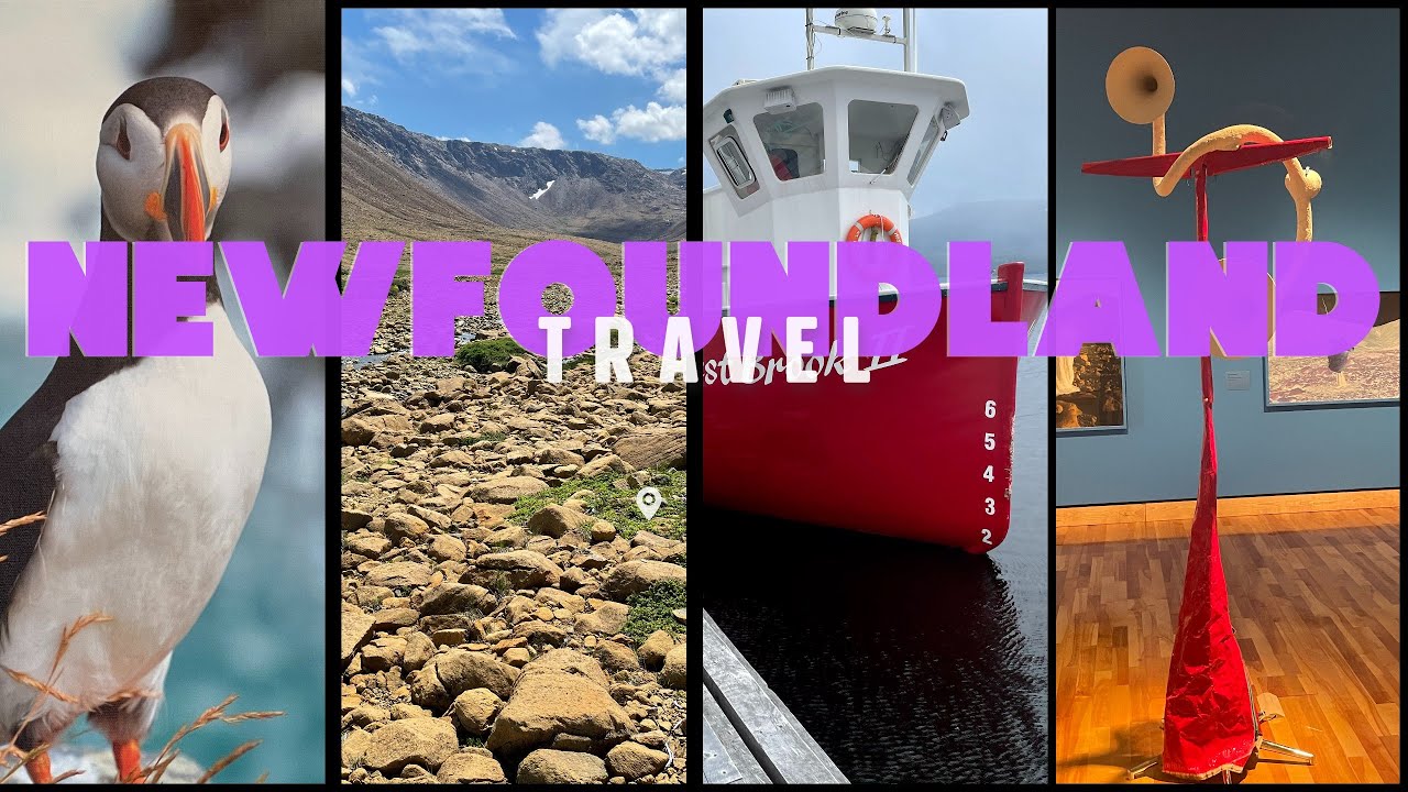 Our experience in Newfoundland was truly remarkable.