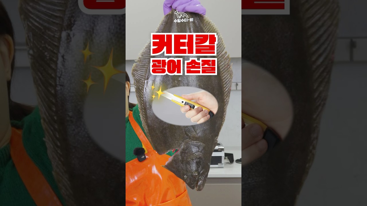 커터칼로 광어손질 가능?! #광어 #회뜨기
