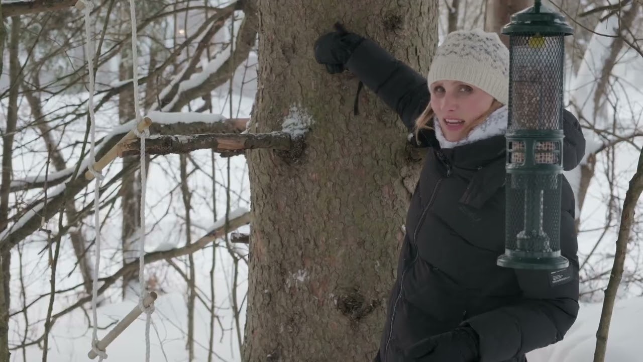 «W» означает белогрудый поползень.