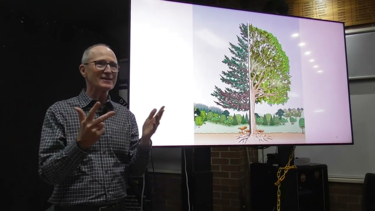 Bonsai Northwest Melbourne July 2024 Stephen Cullum Demonstration Styling natural looking trees