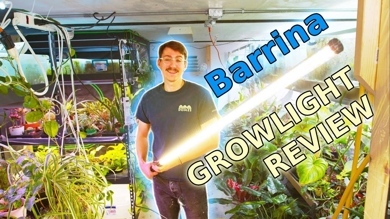 This Grow Light Has LEGS! Barrina T10 Standing Grow Light Review #growlights #houseplants