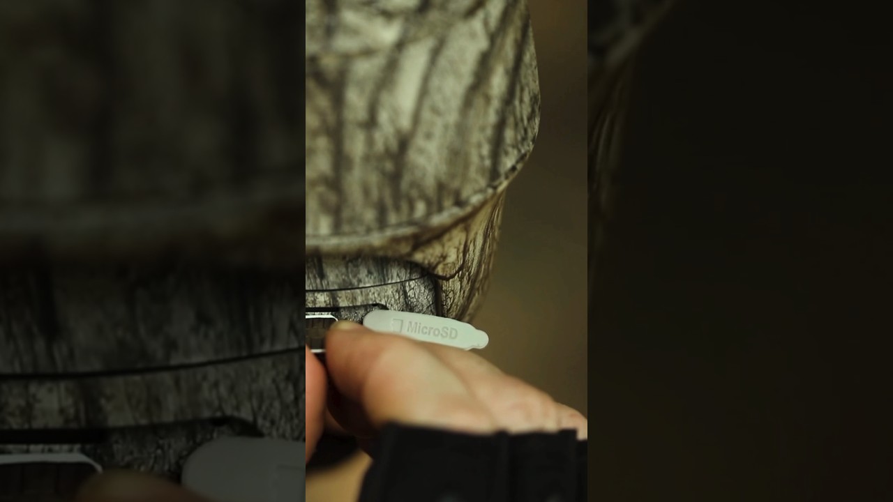 Stay Connected In The wildness With The Go ranger PT