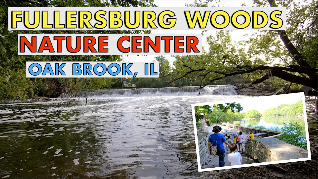 Fullersburg Woods Nature Center | Oak Brook, IL | The Carchedi Family