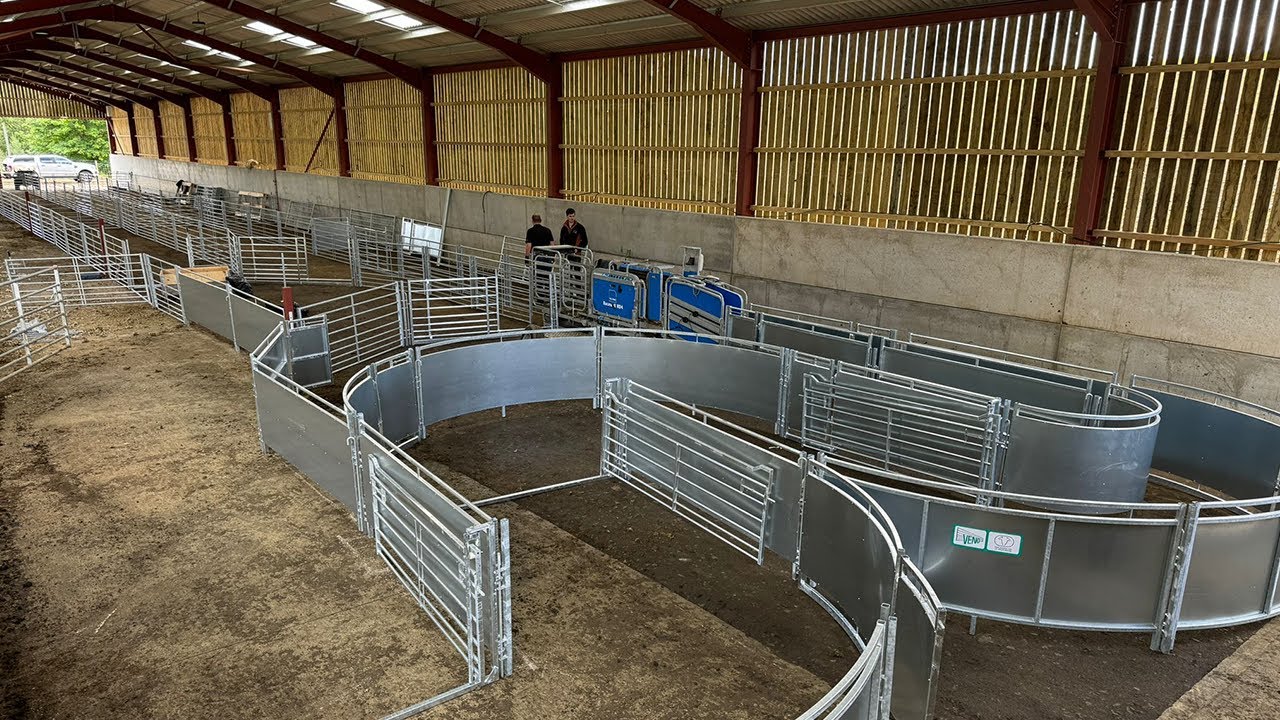 NEW Veno Sheep System | @LivestockFarmher | Scotland UK