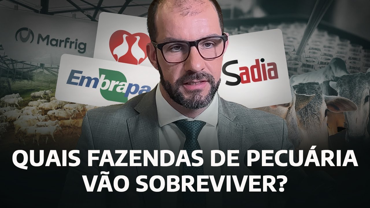 O futuro da pecuária no Brasil: como a falta de gestão pode levar milhares de fazendas ao fim