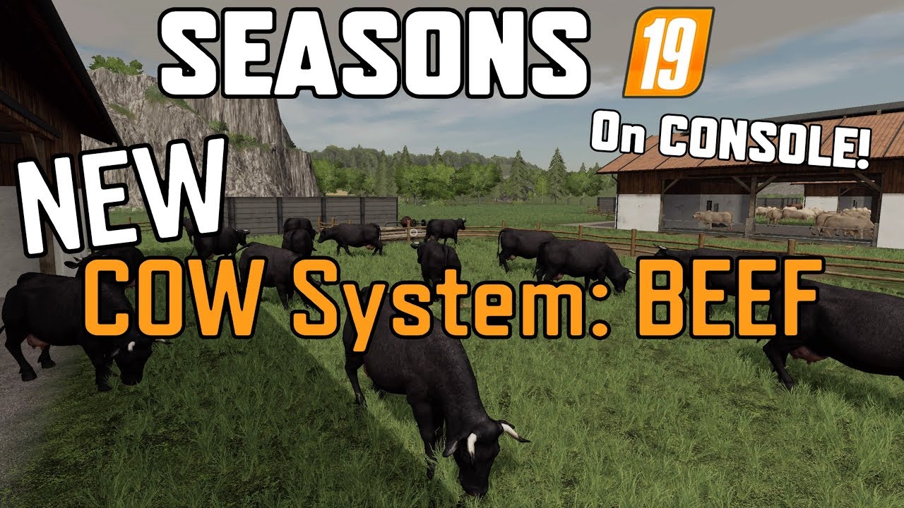 SEASONS 19 On CONSOLE (NEW COW System: BEEF) Farming Simulator 19 PS4 (Tutorial)