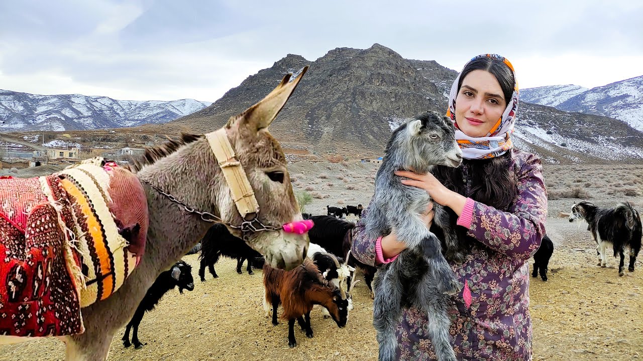 Village Life In Iran: Amazing Bread Baking & Donkey Riding By A Girl