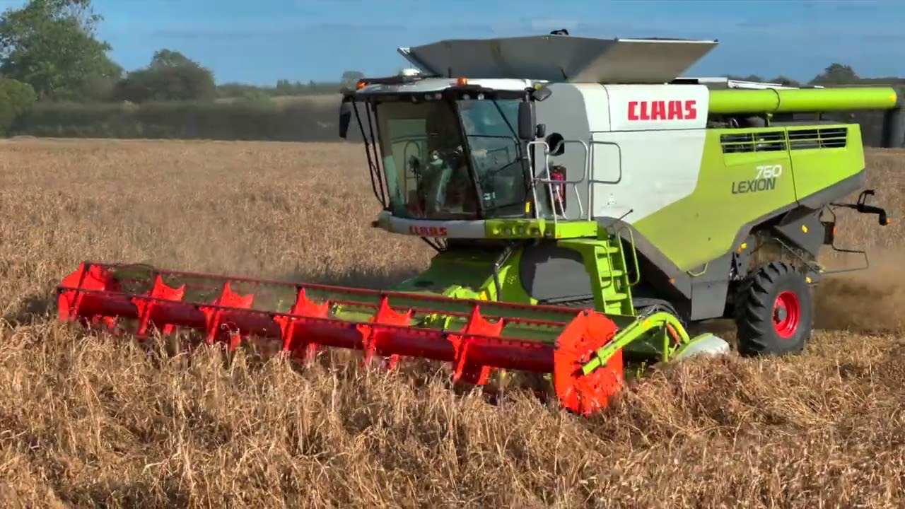 MILLET SEED: Claas 760 Harvesting Minotaur a Proso Millet in East Yorkshire, England.