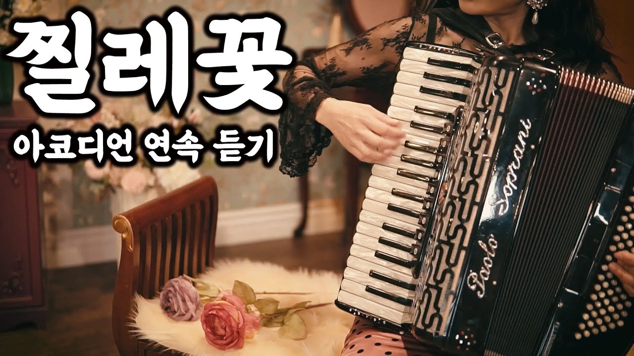 찔레꽃 10시간 연속듣기 / 아코디언 연주