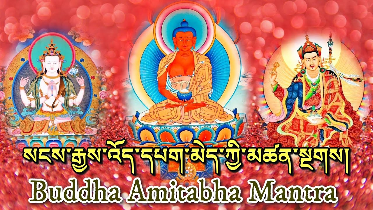 ☸འོད་དཔག་མེད་ཀྱི་མཚན་སྔགས།|ཨོཾ་ཨ་མི་དྷེ་ཝ་ཧྲཱིཿ/Om Ami Dhewa Hrih|Amitabha Buddha Mantra (Amituofo)