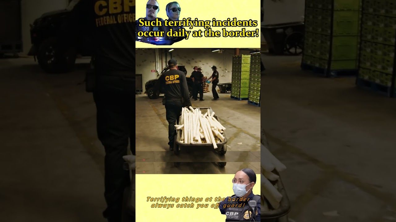 Terrifying things at the border always catch you off guard!#border #fypシ  #foryou  #trending#police
