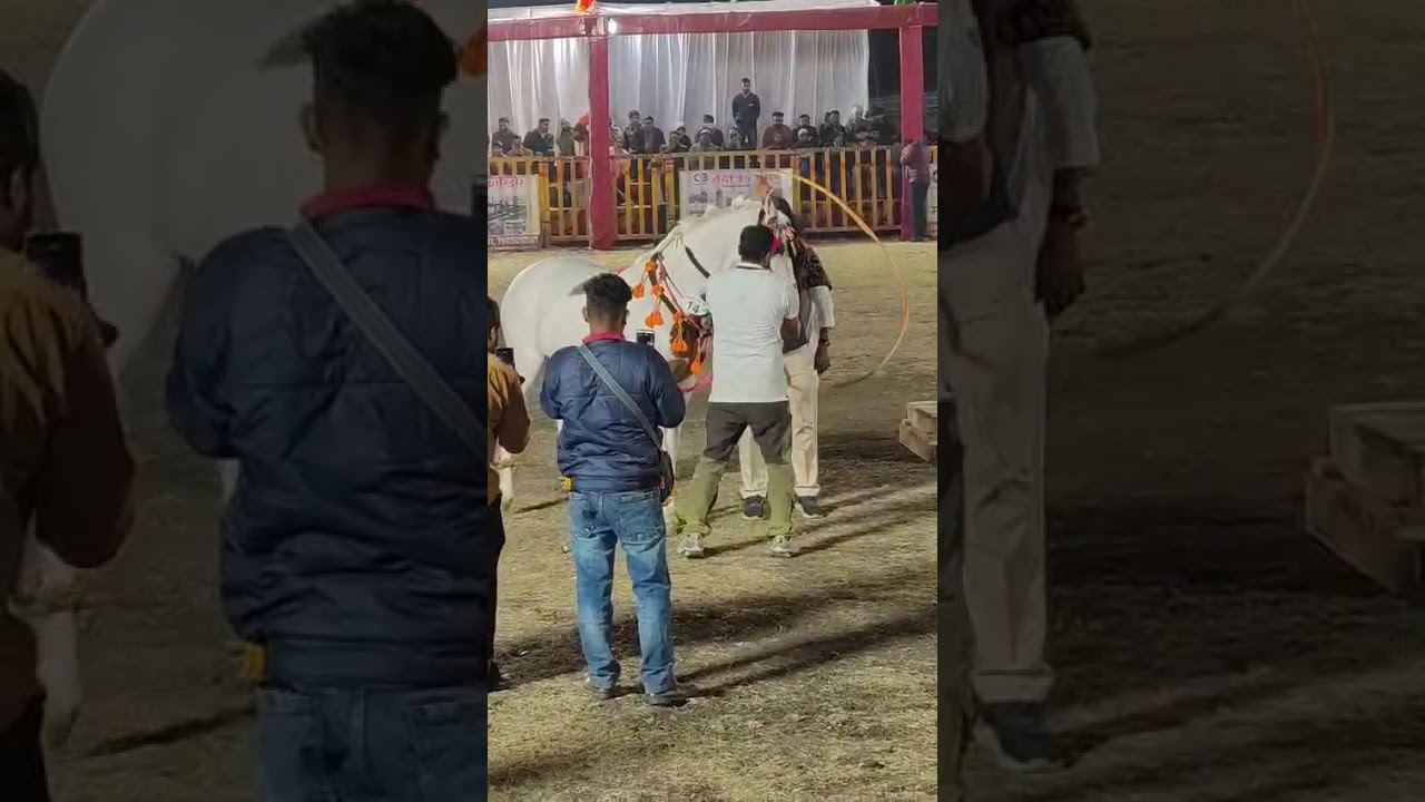 हॉर्स कंपटीशन इंदौर में डांस कंपटीशन