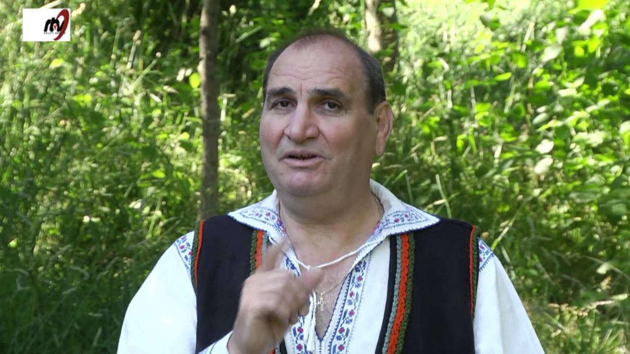 Ion  Ionita  -   La  o  margine  de  sat