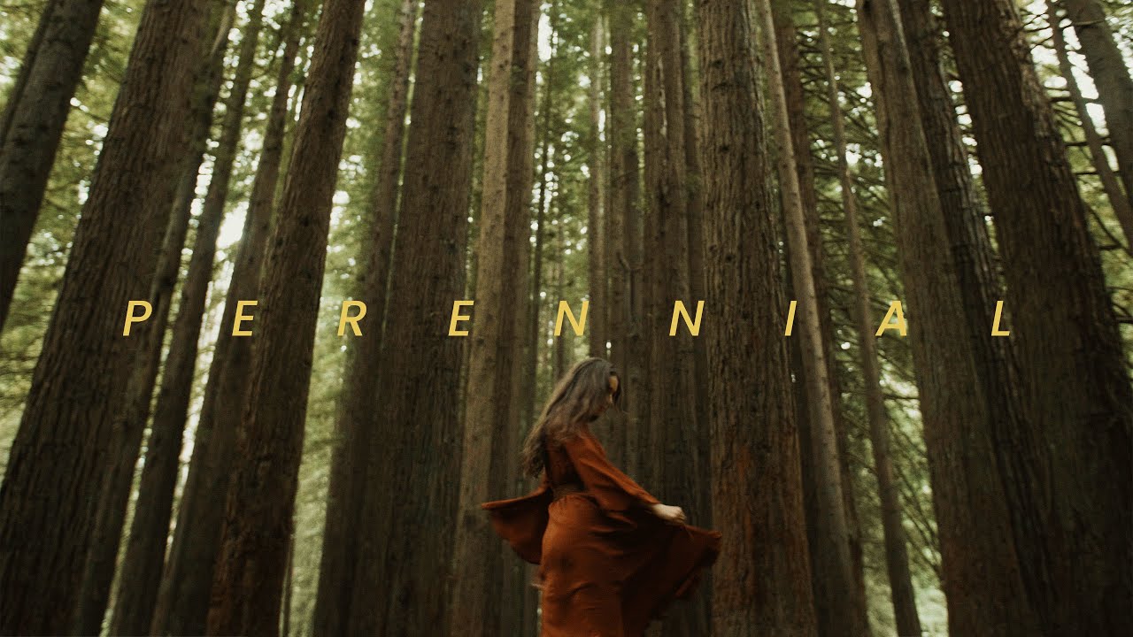 Perennial | Panasonic GH5 Short Film