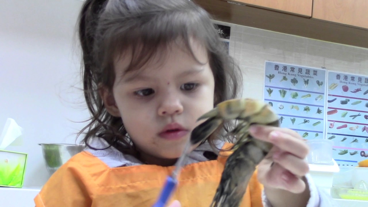 Infinity Montessori Academy - Hong Kong Montessori School