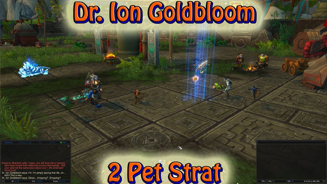Dr. Ion Goldbloom 2 Pet Strategy