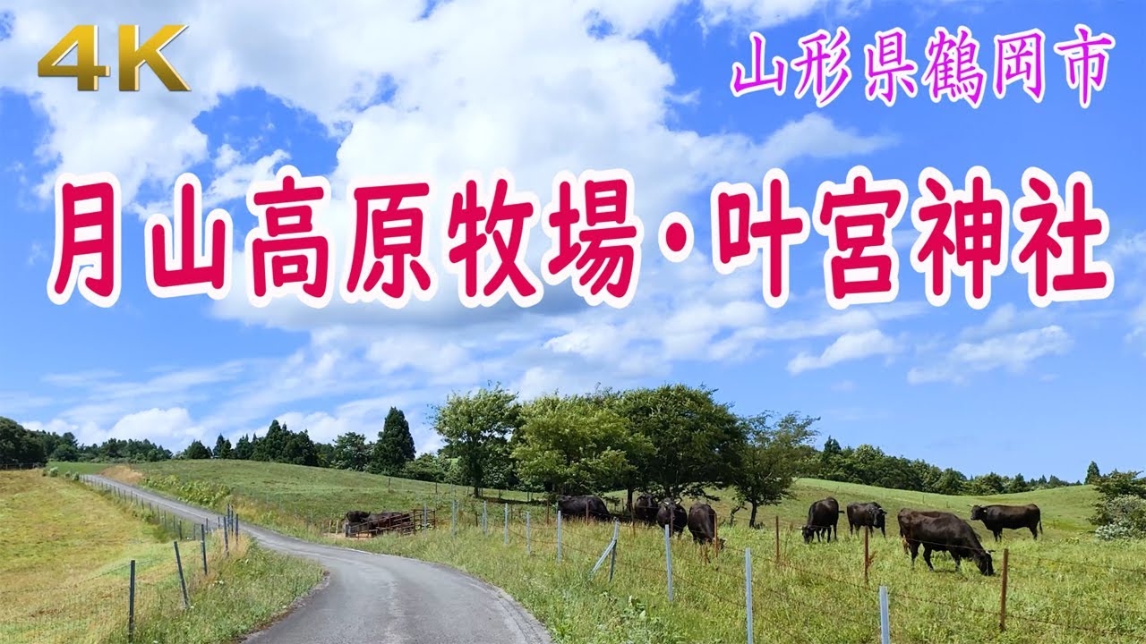 4K  月山高原牧場・叶宮神社・・・山形県鶴岡市