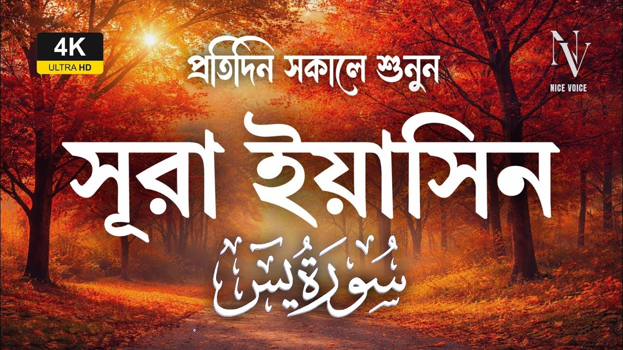 মন হবে প্রশান্ত | প্রতিদিন সকালে শুনুন সূরা ইয়াসিন | Surah Yaseen | Alaa Aqel | Nice Voice