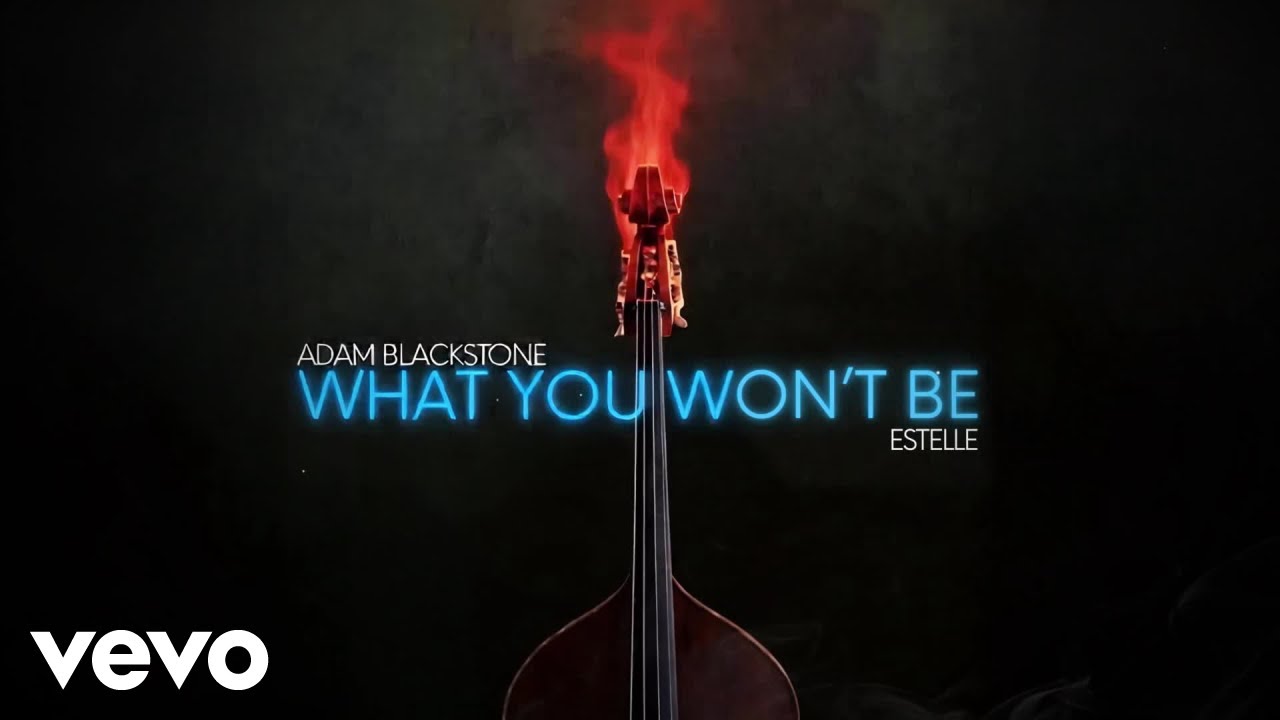 Adam Blackstone, Estelle - What You Won't Be (Official Visualizer)