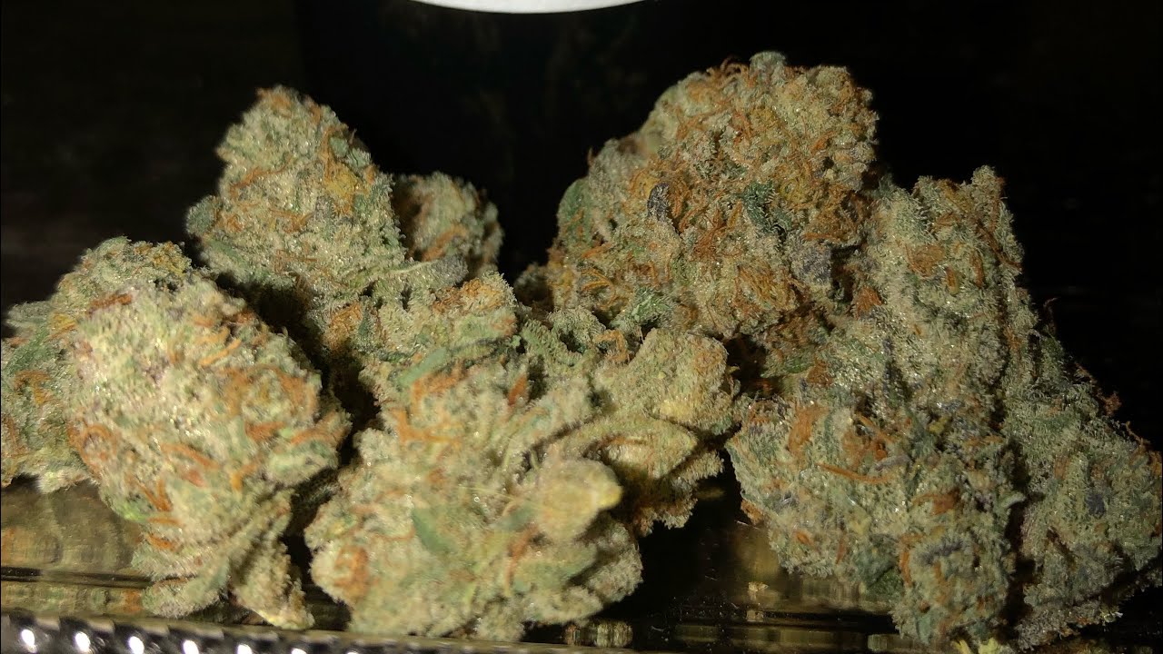 Zoreoz Strain Review