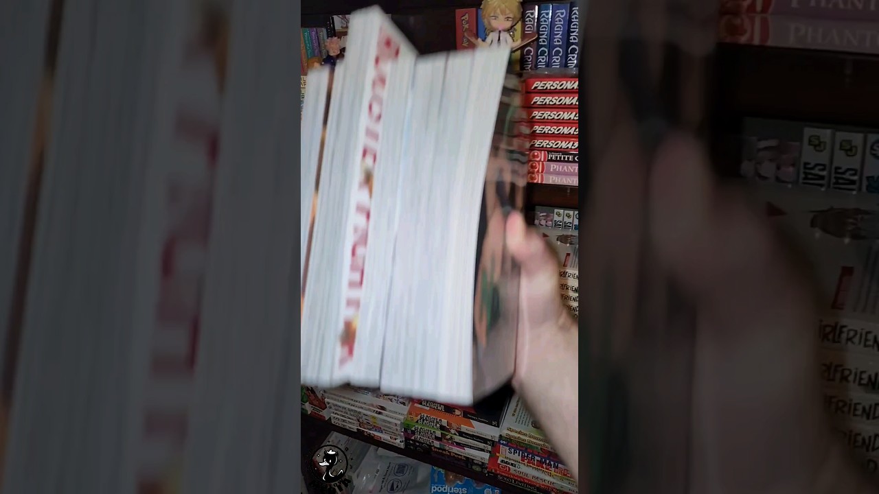 Manga Haul 1324