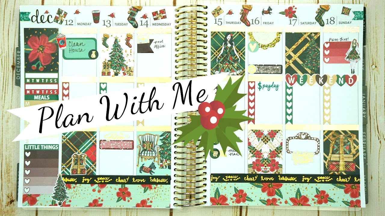 Plan With Me / ft Whimsical Plans / Erin Condren