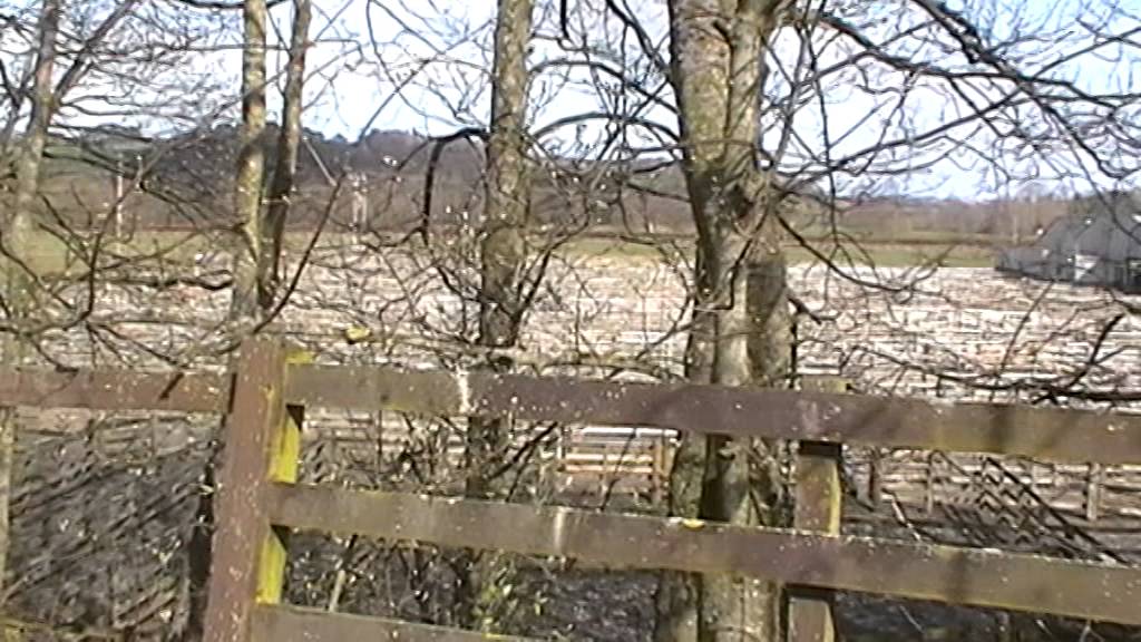 Extending the Borders Railway Charlesfield to Newtown St. Boswells