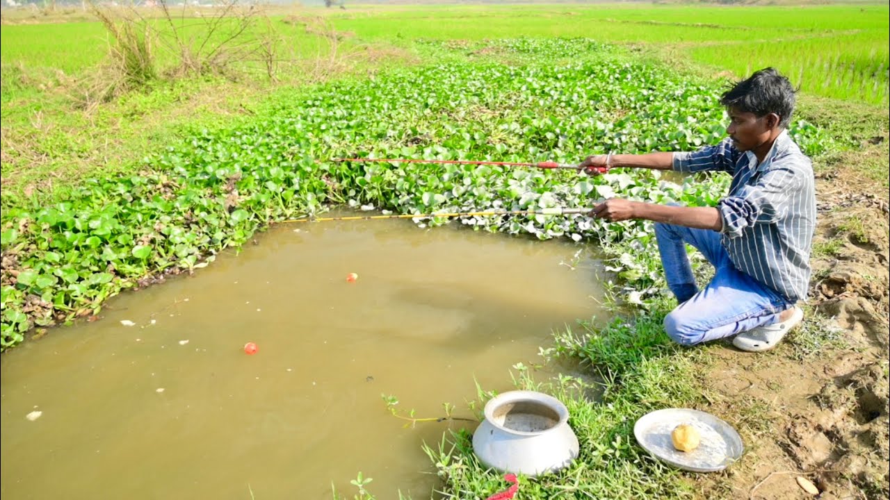 Fishing Video || Everyone will be Amazed to see the Village Boy Fishing Techniques || Hook Fishing