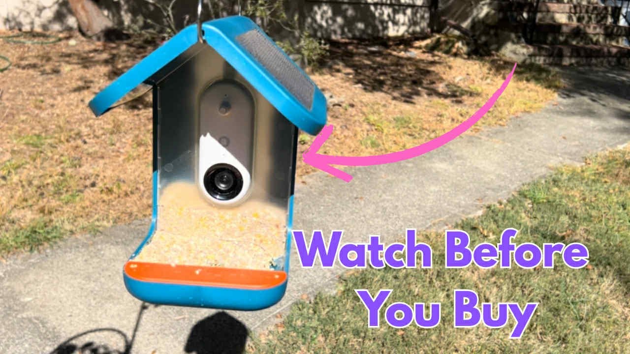 &ldquo;Birdwatching Made Easy! Birdbuddy PRO Solar Smart Feeder Review&rdquo;