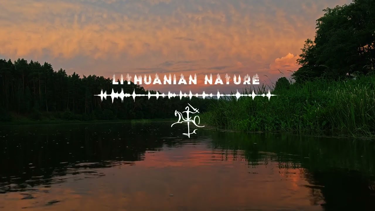 Летнее утро в деревне