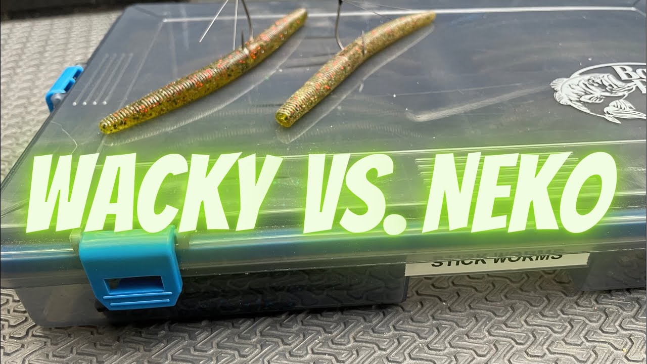 Wacky vs. Neko | When, Where and Why #wackyworm, #nekorig #finessefishing
